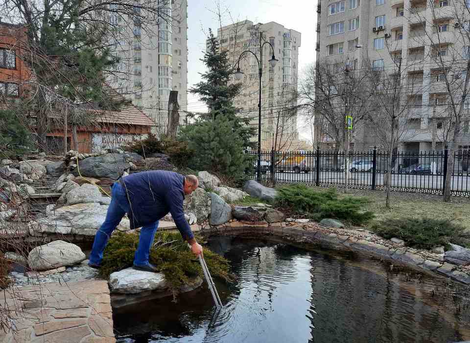 В декоративном пруду в сквере Саши Филиппова в Волгограде нашли мусор и кирпичи